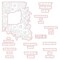 Squared Spring Florals - Honey Cuts - Coordinating Dies RETIRING